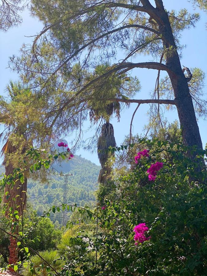 El Botanico De Sagra Hotell Eksteriør bilde