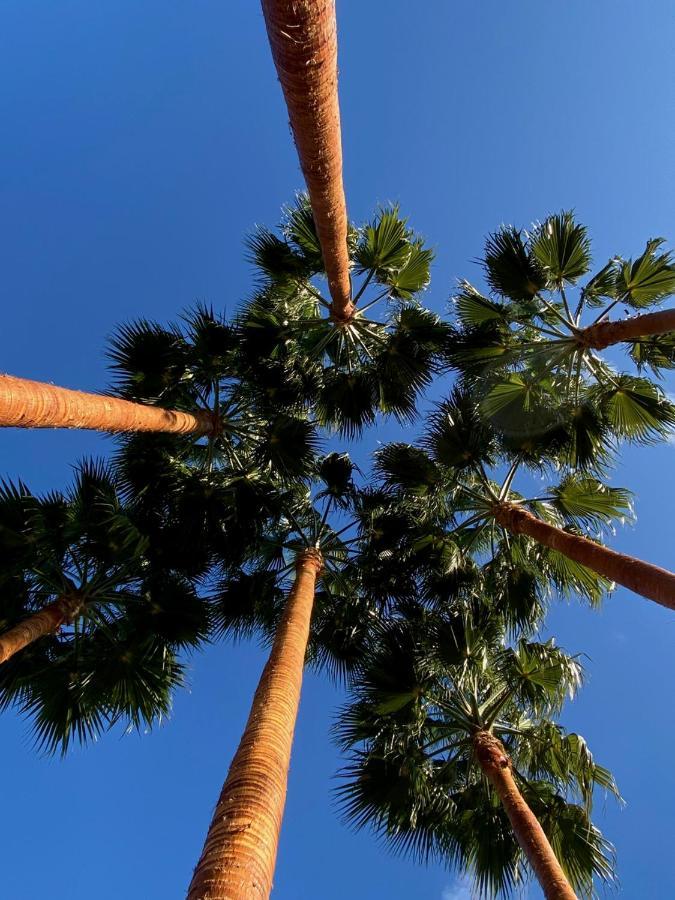 El Botanico De Sagra Hotell Eksteriør bilde