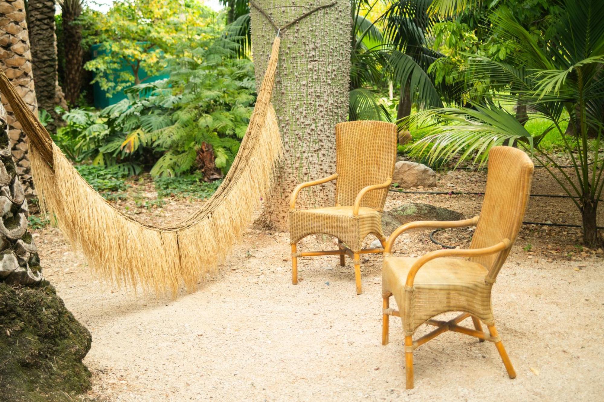 El Botanico De Sagra Hotell Eksteriør bilde
