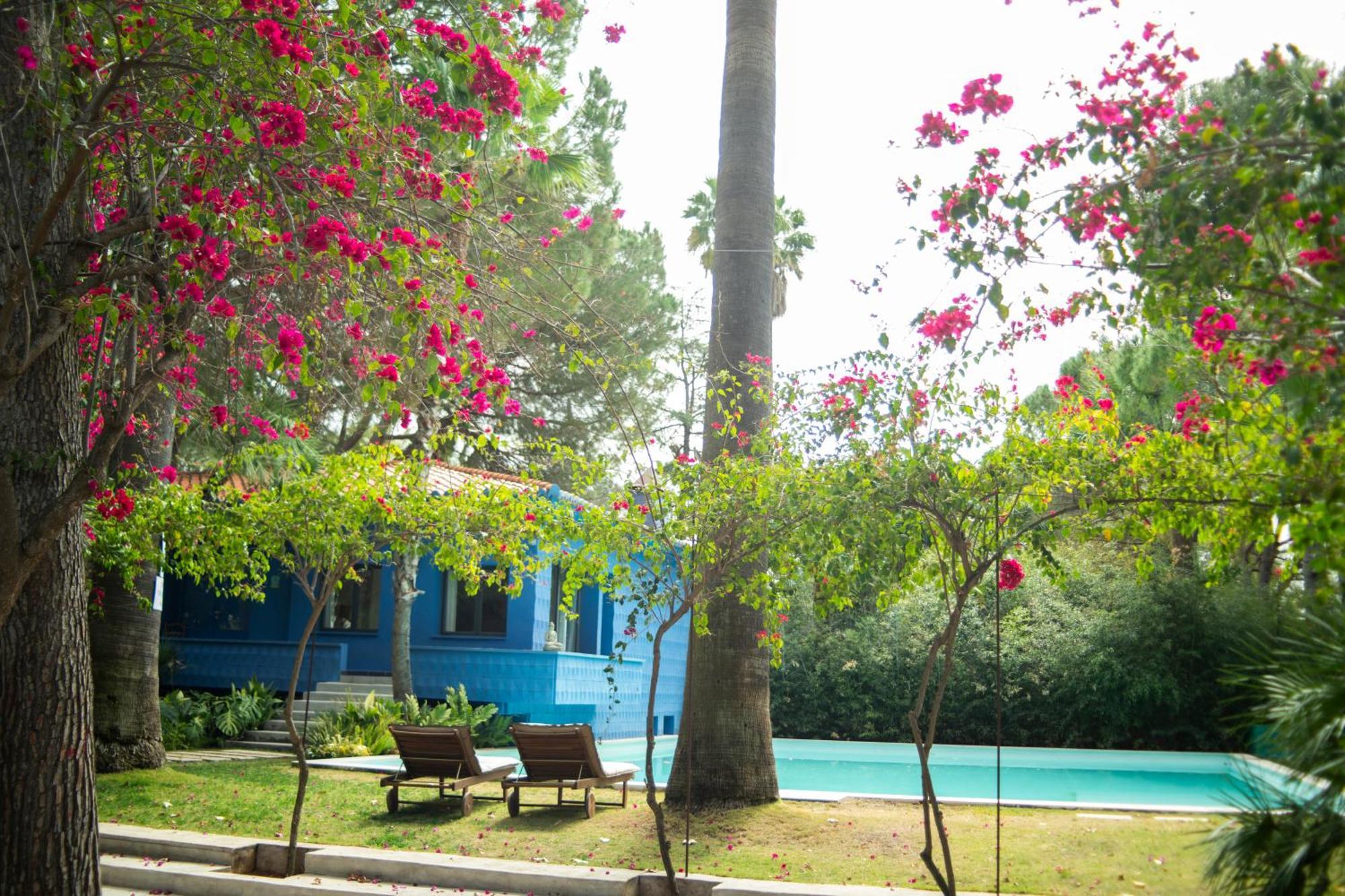 El Botanico De Sagra Hotell Eksteriør bilde
