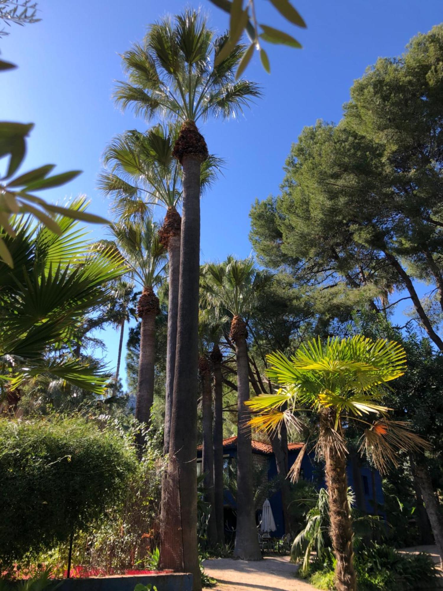 El Botanico De Sagra Hotell Eksteriør bilde
