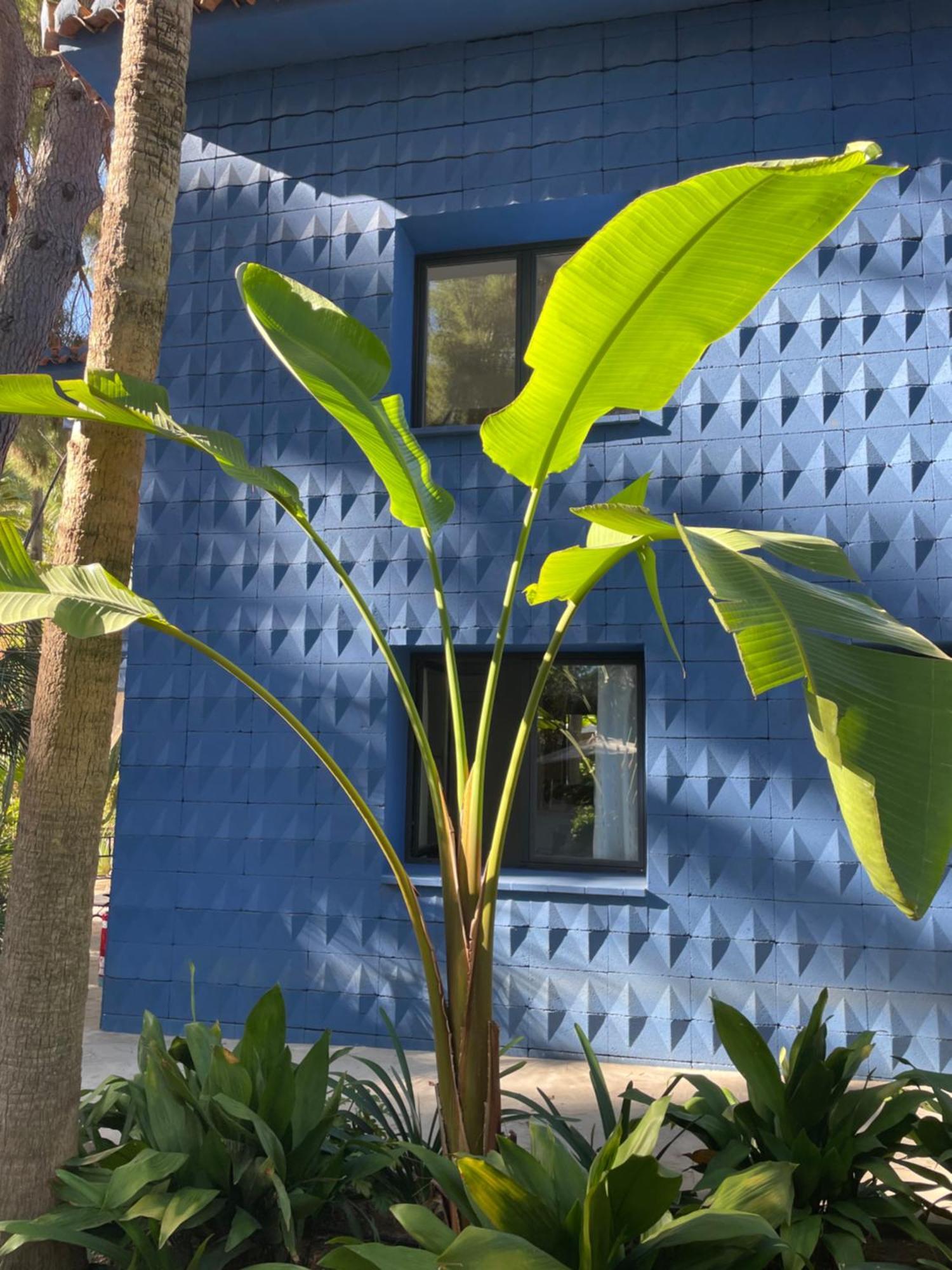El Botanico De Sagra Hotell Eksteriør bilde