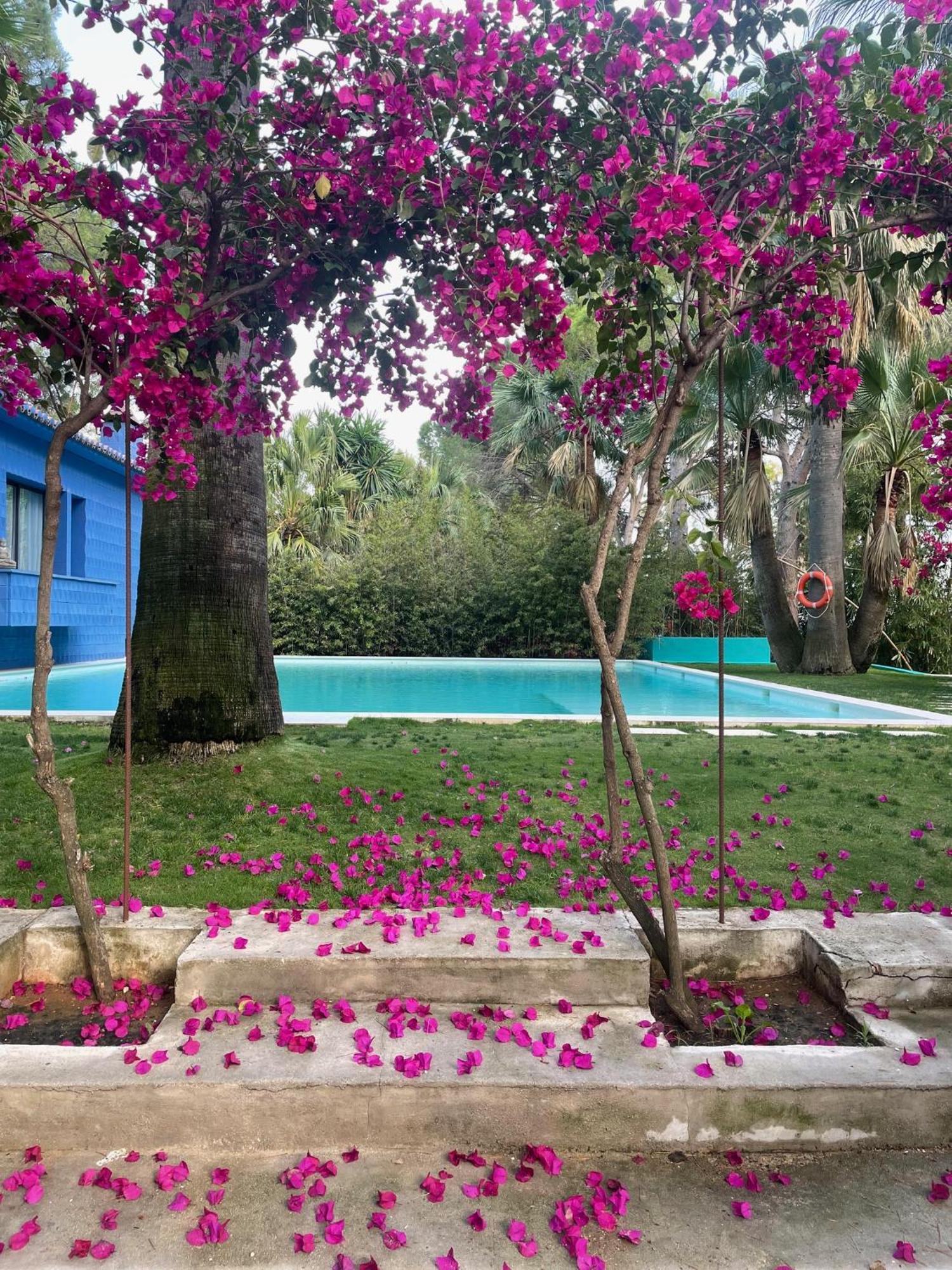 El Botanico De Sagra Hotell Eksteriør bilde